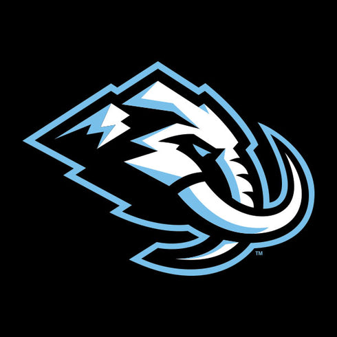 NHL Utah Mammoth Alternate Black Galaxy A14 5G Skin